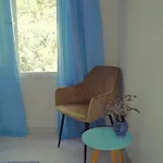Gasthof Port Pet Friendly
