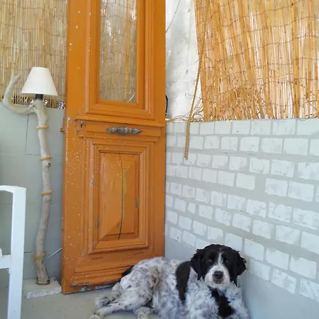 Port Pet Friendly Thásos