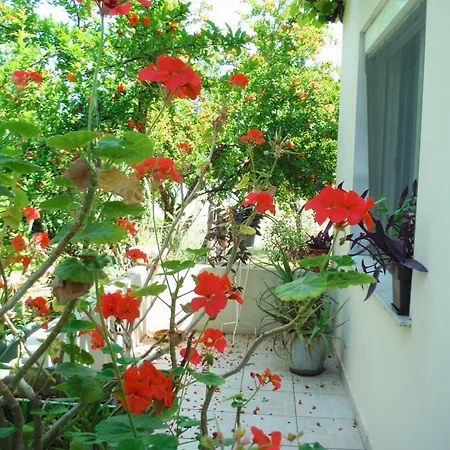 Casa de hóspedes Port Pet Friendly *
