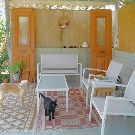 Port Pet Friendly Pensjonat Limenas (Thasos)