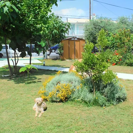 Gasthof Port Pet Friendly