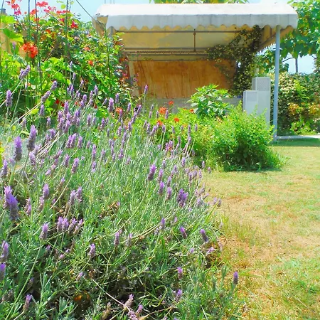 Casa de hóspedes Port Pet Friendly *