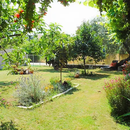 Gasthof Port Pet Friendly