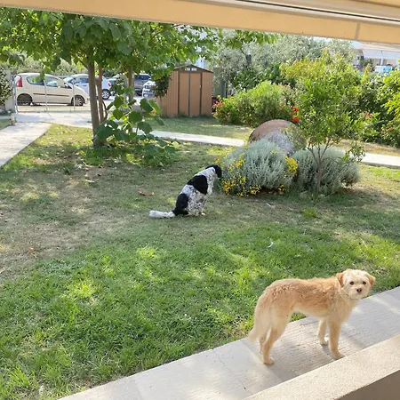 Casa de hóspedes Port Pet Friendly *
