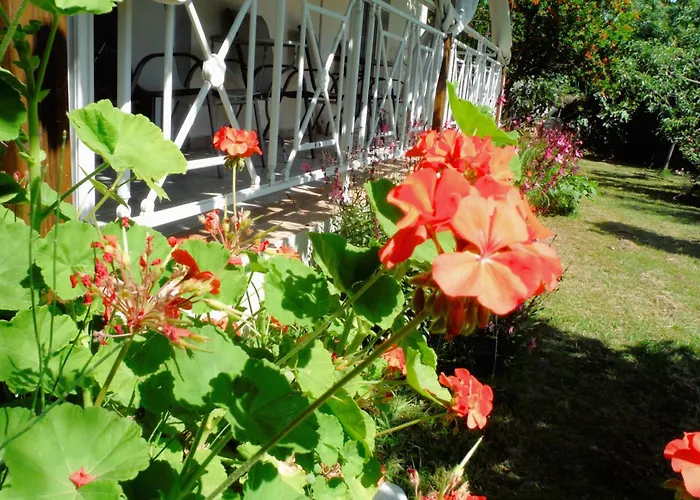 Vendégház Port Pet Friendly 3*