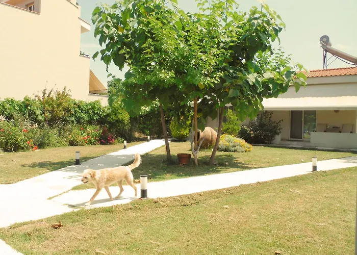 Vendégház Port Pet Friendly 3*