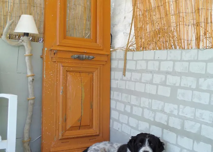 Port Pet Friendly Liménasz