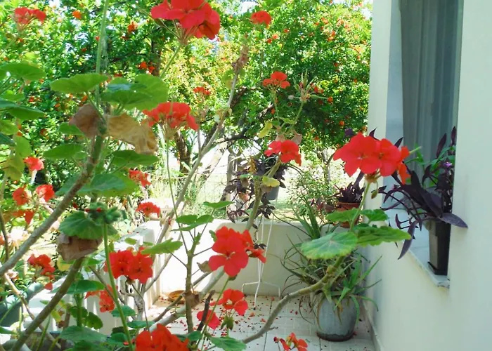 Vendégház Port Pet Friendly 3*