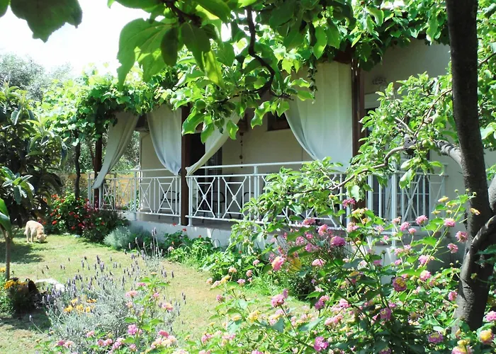 Port Pet Friendly Vendégház 3*