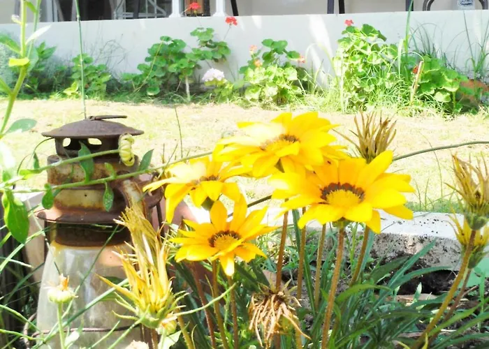 Vendégház Port Pet Friendly 3*