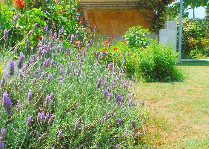 Vendégház Port Pet Friendly 3*