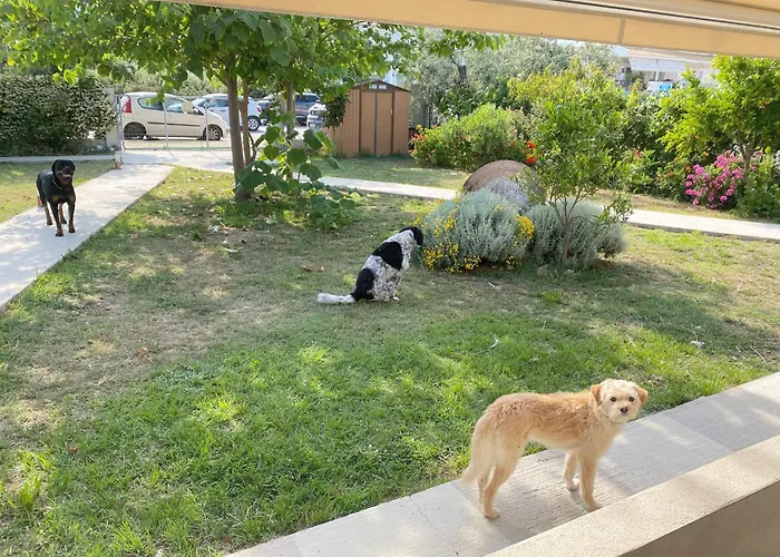 Vendégház Port Pet Friendly 3*